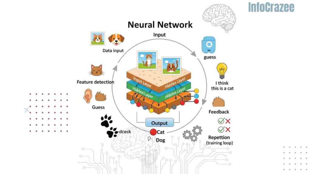 A visually engaging 2D infographic explains neural networks in a simple, friendly way. A neural network, structured like a layered sandwich, is at the center, featuring an Input Layer (cat/dog images), several Hidden Layers with colorful nodes and arrows, and an Output Layer yielding results like "Cat" or "Dog." Illustrated steps around the diagram show how learning happens: data input (images of cats/dogs), feature detection (ears, tails, fur), a guess ("I think this is a cat"), feedback (correct or incorrect), and repetition (training loop). The style is clear, playful, and educational, with icons like paw prints, gears, checkmarks, and lightbulbs. A soft background blends tech (circuit lines) with human brain patterns, illustrating how AI mimics our thinking