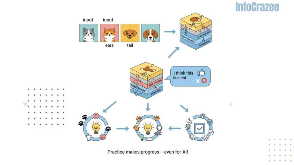 A fun, friendly infographic illustrates how a neural network learns to distinguish between cats and dogs. It starts with labeled images of cats and dogs as input, leading to a stylized neural network diagram. The network processes features like ears, tails, and fur, then a speech bubble indicates its prediction ("I think this is a cat!") with a corresponding thumbs-up or correction symbol. The infographic shows this loop repeating, making the network smarter, with playful icons like paw prints, lightbulbs, and check marks. A caption reads: "Practice makes progress even for AI!" The overall style is clean, colorful, and approachable.
