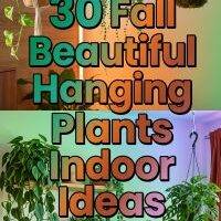 30 Fall Beautiful Hanging Plants Indoor Ideas 2026 for Homes Stylish Green Home Decor