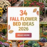 34 Fall Flower Bed Ideas 2026 That Wow Every Season | Gorgeous Plant Combinations, Stylish Edging & Stunning Yard Transformations