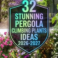 32 On-Trend Pergola Climbing Plant Ideas for a Lush, Modern and Stunning Outdoor Retreat 2026-2027