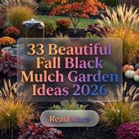 How to Create a Head-Turning Fall Yard With 33 Stylish Black Mulch Landscaping Ideas 2026