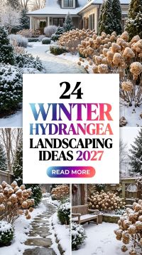 24 Winter Hydrangea Garden Ideas 2027 to Create a Cozy, Elegant and Pinterest-Worthy Seasonal Landscape