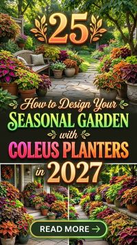 How to Design Your Seasonal Garden With 25 Coleus Planters 2027 to Create a Stunning, Colorful and Welcoming Outdoor Space